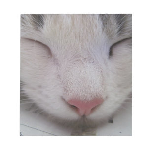 Bloc De Notas Gato durmiente