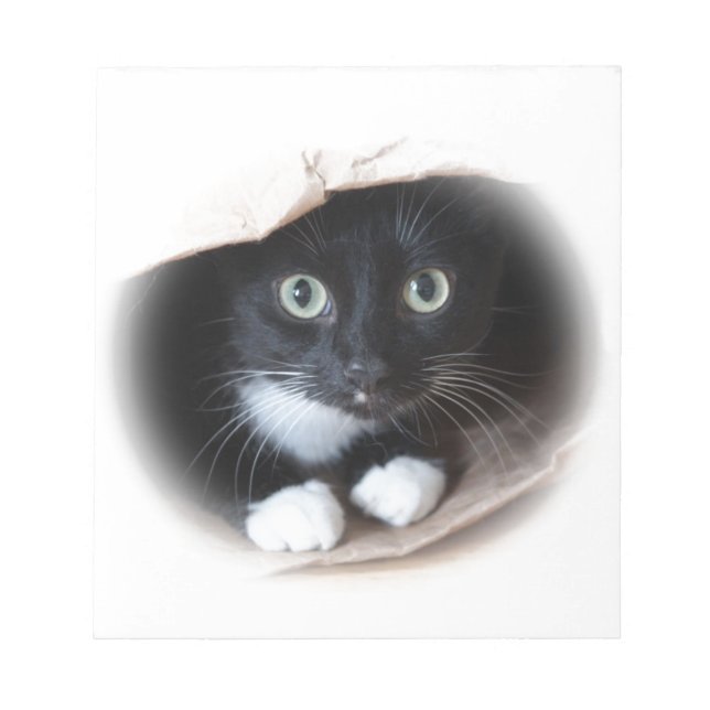 Bloc De Notas Gato en una bolsa (Frente)