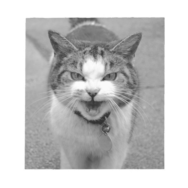 Bloc De Notas Gato enojado (Frente)
