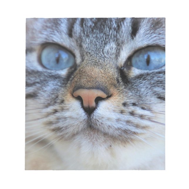 Bloc De Notas Gato gris (Frente)