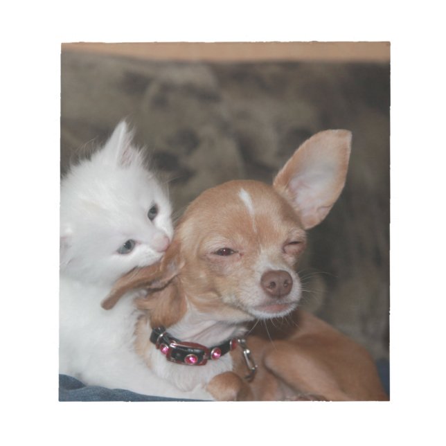 Bloc De Notas Gato lamiendo perro (Frente)