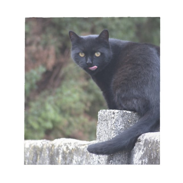 Bloc De Notas Gato negro (Frente)