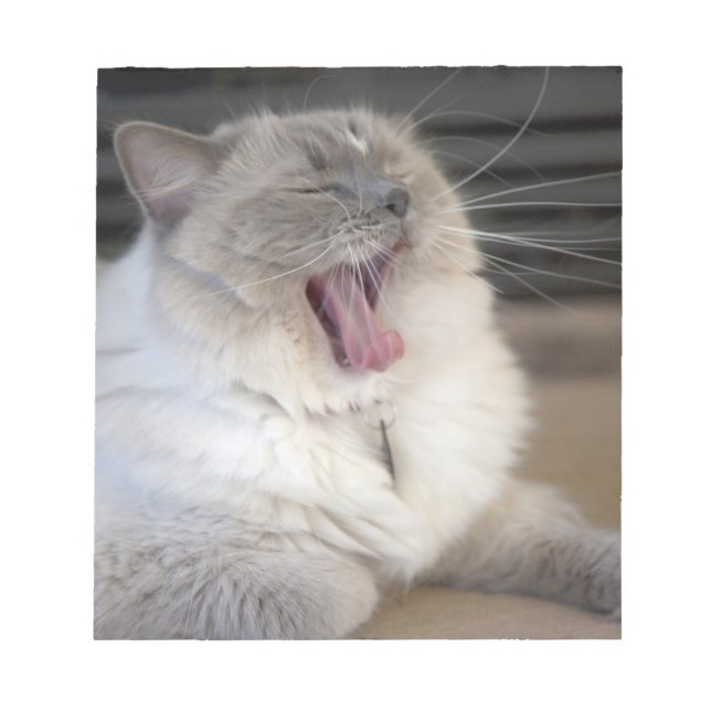 Bloc De Notas gato Neva Masquerade bostezando (Frente)