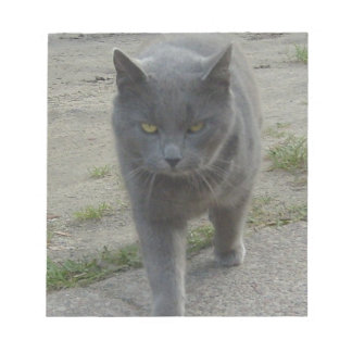 Bloc De Notas Gatos