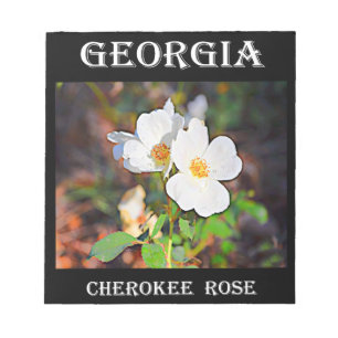 Bloc De Notas Georgia Cherokee Rosa