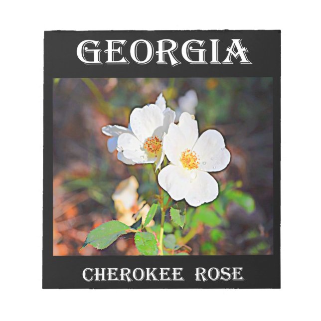 Bloc De Notas Georgia Cherokee Rosa (Frente)