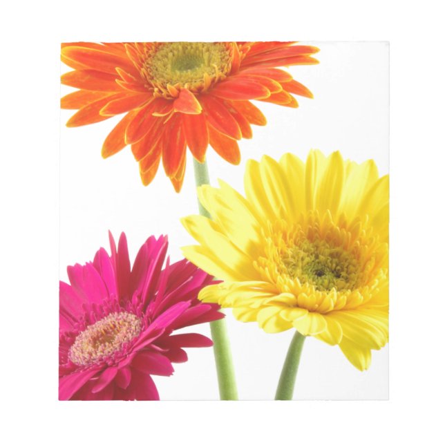 Bloc De Notas Gerbera Daisy (Frente)
