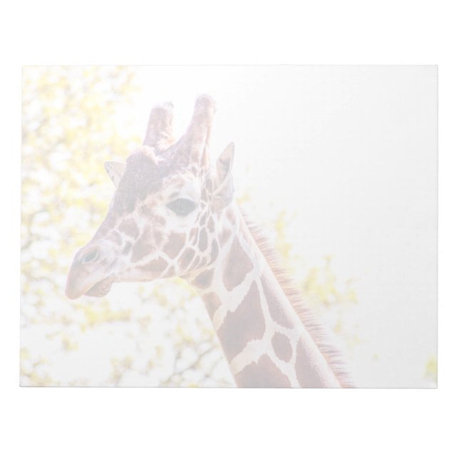 Bloc De Notas Giraffe Portrait (Frente)