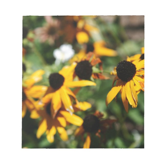Bloc De Notas Girasol (Frente)