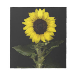 Bloc De Notas Girasol 11