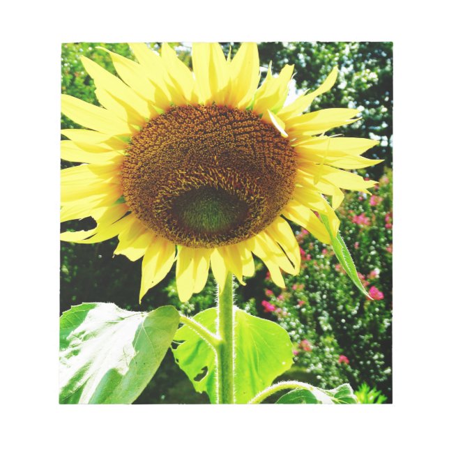 Bloc De Notas Girasol amarillo grande (Frente)