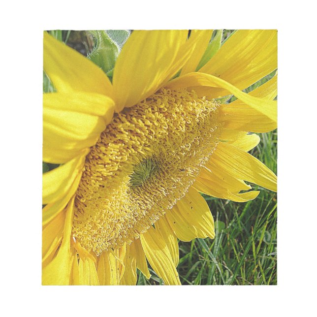 Bloc De Notas Girasol brillante (Frente)