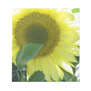 Bloc De Notas Girasol de la luz del sol