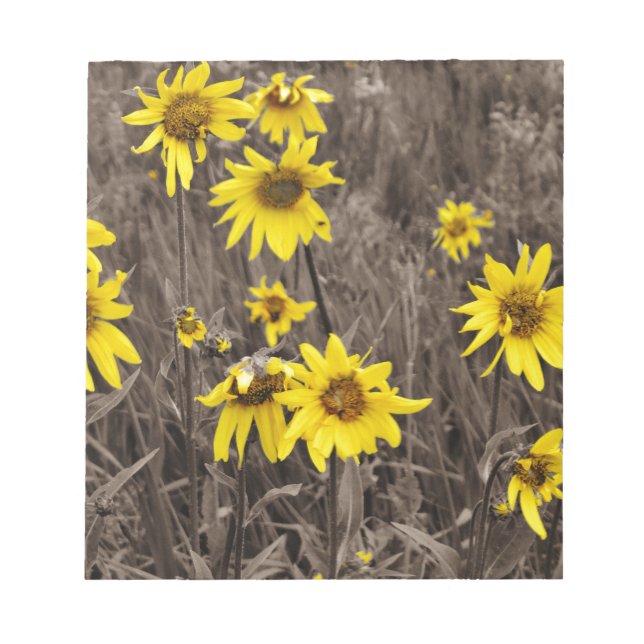 Bloc De Notas Girasol en la Montaña Rocosa (Frente)