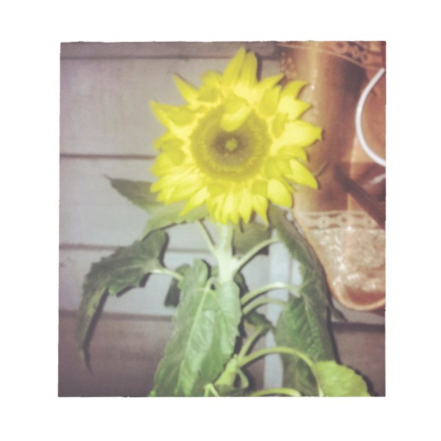 Bloc De Notas girasol nueve por la tarde (Frente)