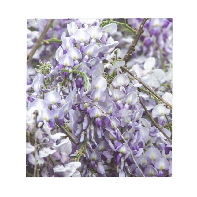 Bloc De Notas Glicinia (Frente)