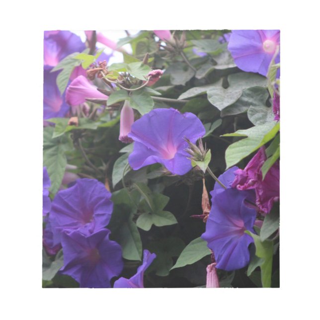 Bloc De Notas Glorias de primavera en azul (Frente)