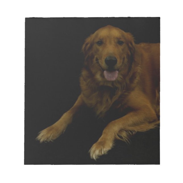 Bloc De Notas Golden Retriever (Frente)