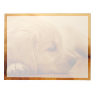 Bloc De Notas Golden Retriever Puppy