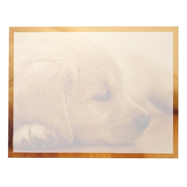 Bloc De Notas Golden Retriever Puppy (Frente)