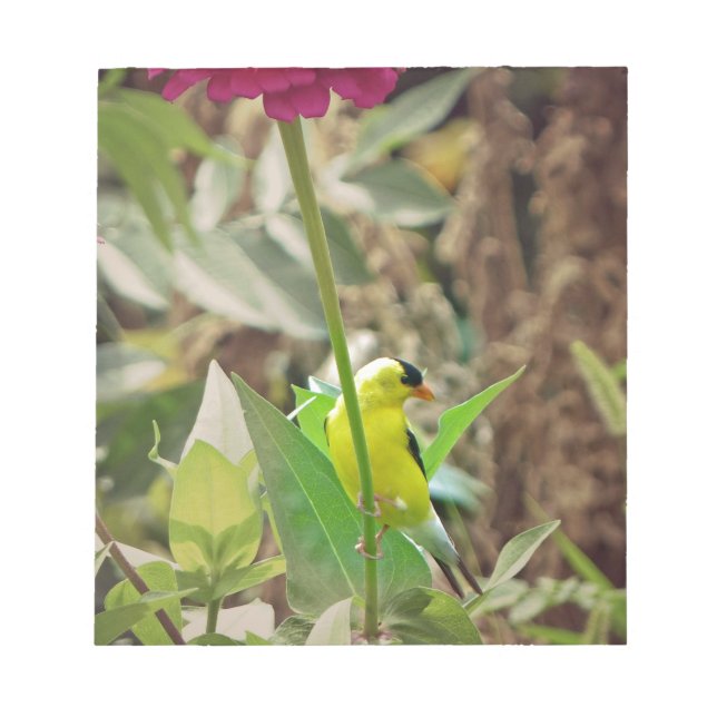 Bloc De Notas Goldfinch (Frente)