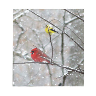 Bloc De Notas Goldfinch Y Cardinal