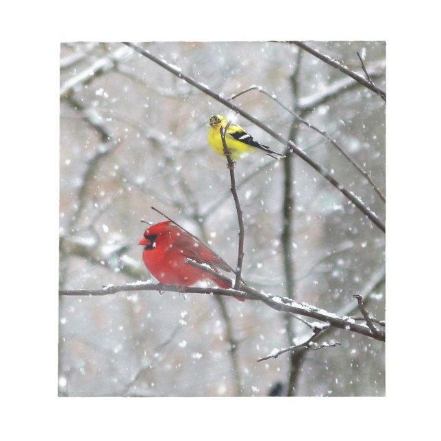 Bloc De Notas Goldfinch Y Cardinal (Frente)