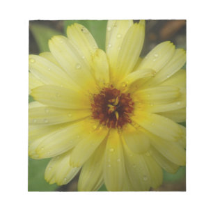 Bloc De Notas Gotas de lluvia amarilla Marigold Notepad