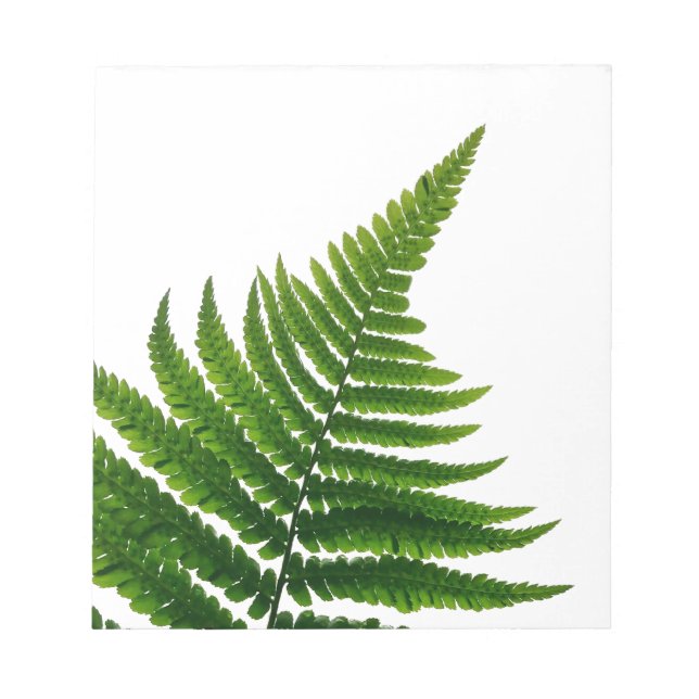Bloc De Notas Green Fern Print Woodlands Leaf (Frente)