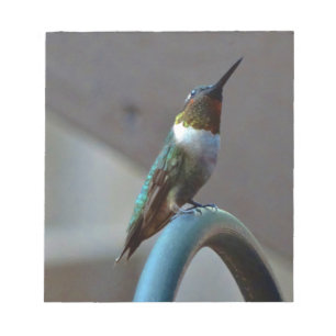Bloc De Notas Green Ruby little Hummingbird