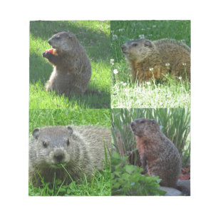 Bloc De Notas Groundhog Medley