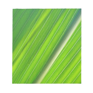 Bloc De Notas Grünes Maisblattdesign