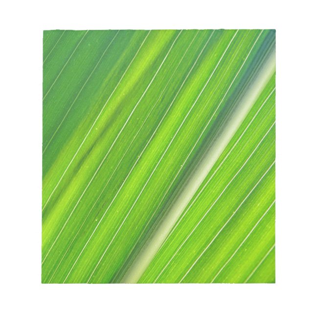 Bloc De Notas Grünes Maisblattdesign (Frente)