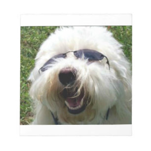 Bloc De Notas Guay Coton de Tulear