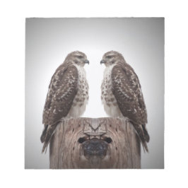 Bloc De Notas Halcones en un poste