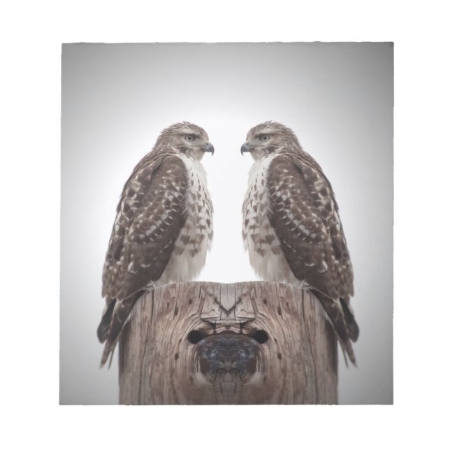 Bloc De Notas Halcones en un poste (Frente)