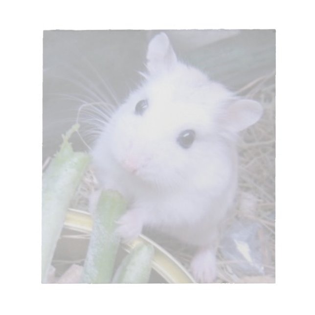 Bloc De Notas Hamster blanco (Frente)