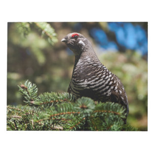 Bloc De Notas Happy Spruce Grouse