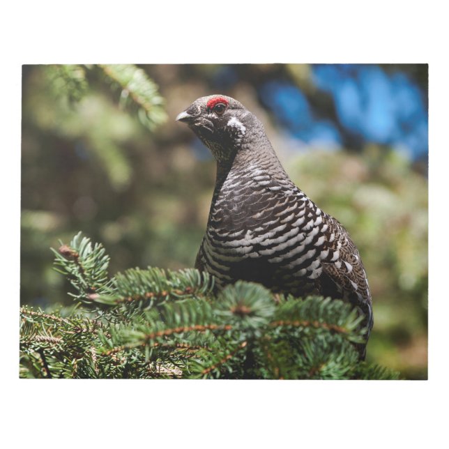 Bloc De Notas Happy Spruce Grouse (Frente)