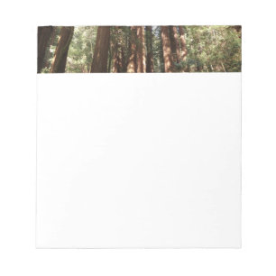 Bloc De Notas Hasta Redwoods II en el Monumento Nacional Muir Wo