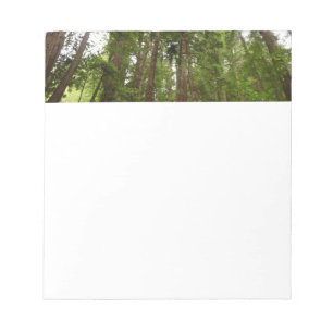Bloc De Notas Hasta secuoyas en el Monumento Nacional Muir Woods
