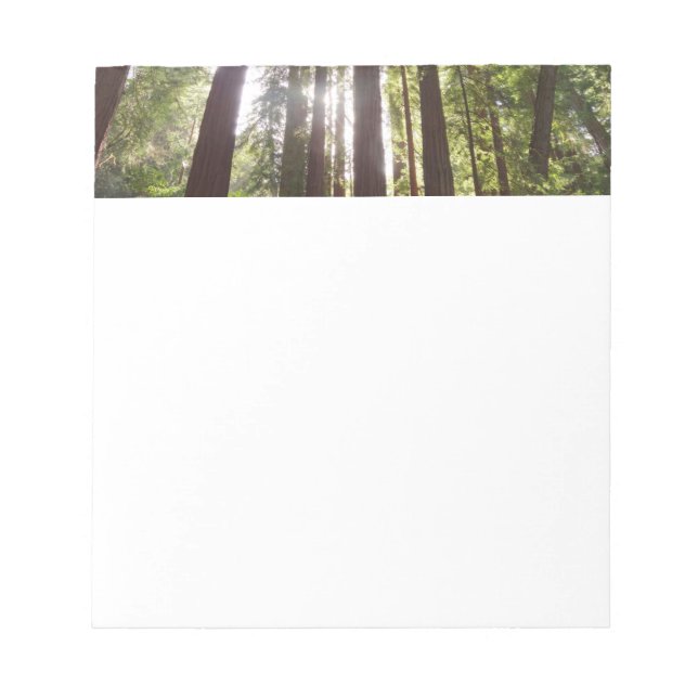 Bloc De Notas Hasta secuoyas por la mañana (Frente)