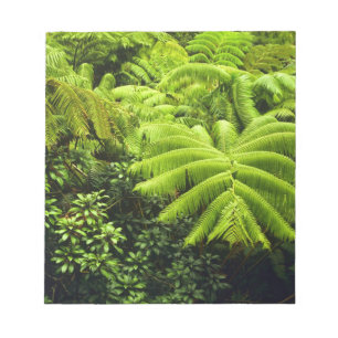Bloc De Notas Hawái, Isla Grande, Exuberante vegetación tropical