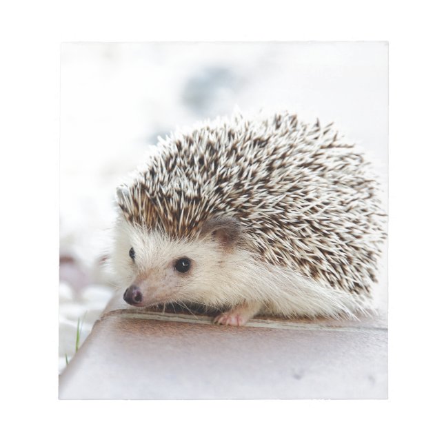 Bloc De Notas Hedgehog (Frente)