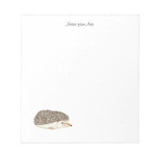 Bloc De Notas Hedgehog notepad, hedgeho acuarela