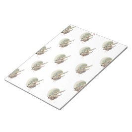 Bloc De Notas Hermit Crab Notepad