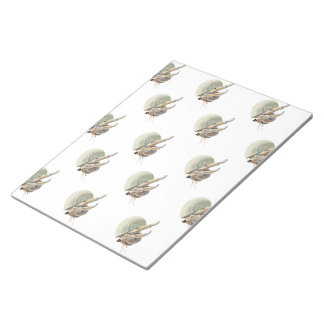 Bloc De Notas Hermit Crab Notepad