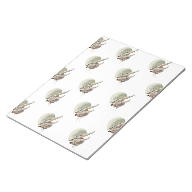 Bloc De Notas Hermit Crab Notepad (Lado Derecho)