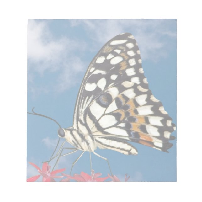 Bloc De Notas Hermosa mariposa (Frente)