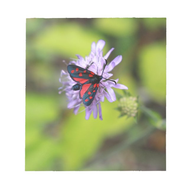 Bloc De Notas Hermosa Moth (Frente)